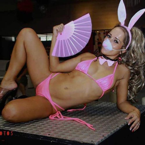 Show sexy bunny